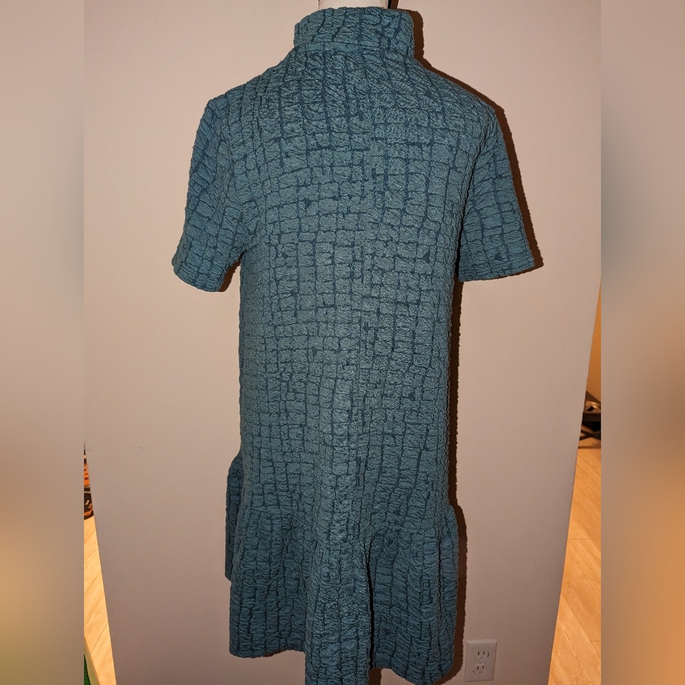 Zara Drop Waist Dress (Size: M) - Picture 2 of 4